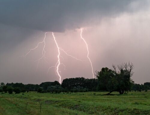 Conseils pour protéger votre entreprise lors d’orages violents en été